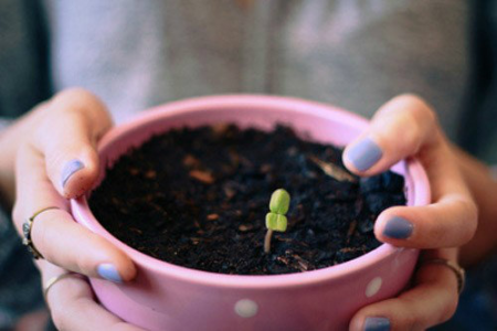 中小学端午节安全教育讲话稿范文