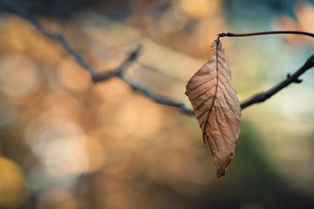 老师语文教学交流材料范文