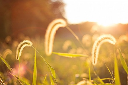 英文求职信的几点注意事项范文