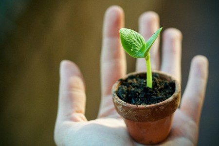 学校致学生父母的道歉信精选五篇范文