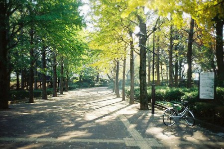 写给老师感谢信范文