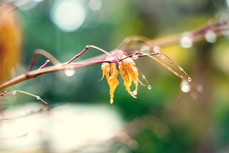 给父亲节的祝福短信范文