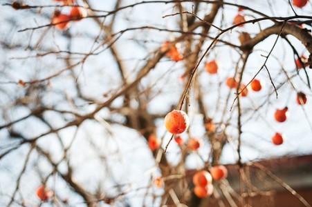 教师转正自我总结范文