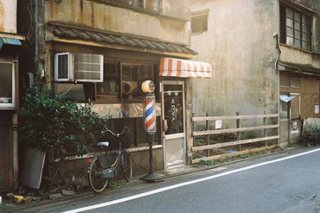 小学政教处工作总结范文