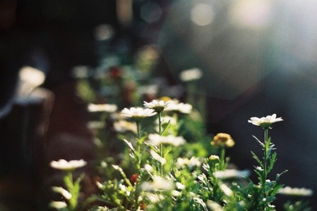 电算化条件下利润表编制方案优化范文