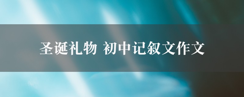 圣诞礼物作文 初中记叙文7篇图1