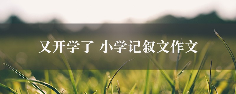 又开学了作文 小学记叙文精选八篇图1