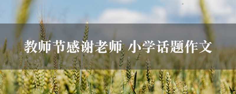 教师节感谢老师作文 小学话题精选九篇图1