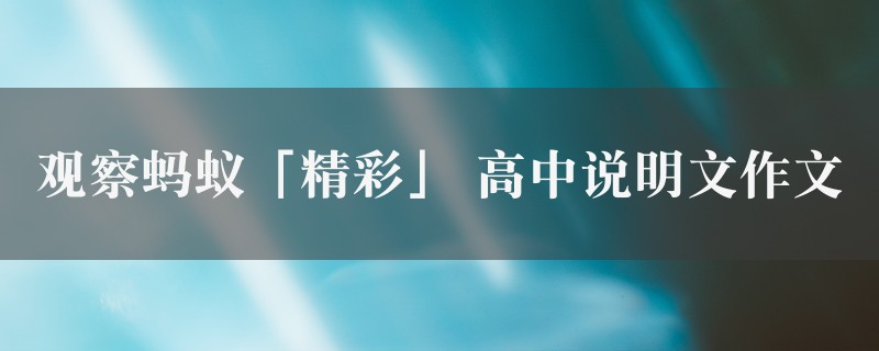 观察蚂蚁「精彩」作文 高中说明文图1