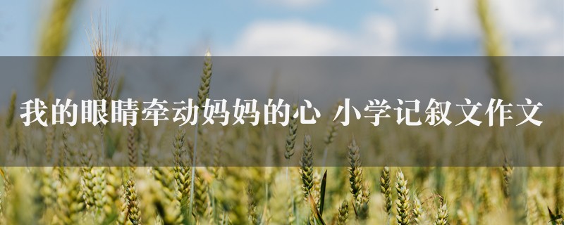 我的眼睛牵动妈妈的心作文 小学记叙文图1