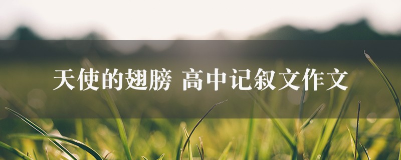 天使的翅膀作文 高中记叙文精选十篇图1