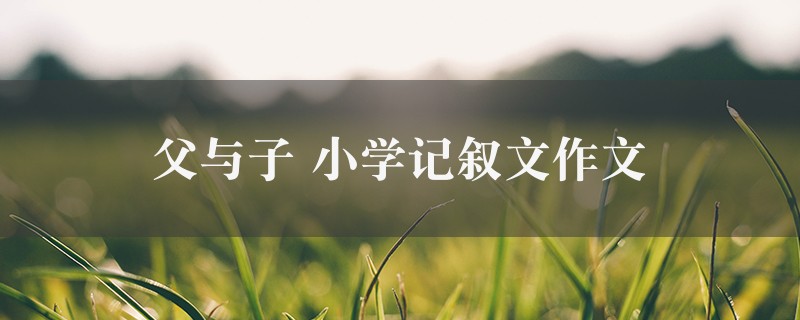 父与子作文 小学记叙文十篇图1