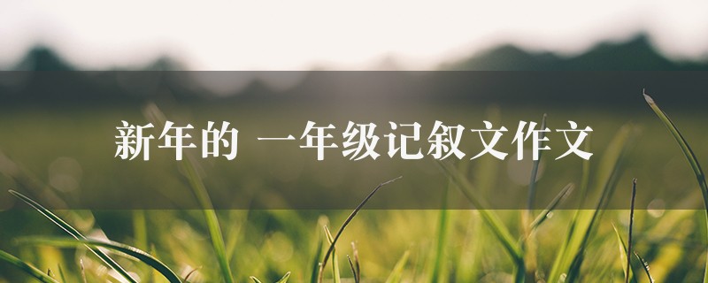 新年的作文 一年级记叙文6篇图1