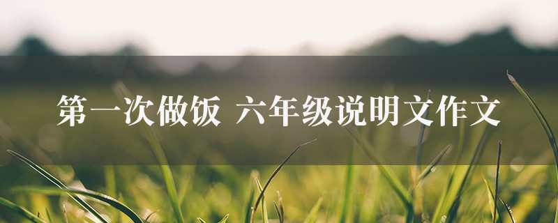 第一次做饭作文 六年级说明文五篇图1