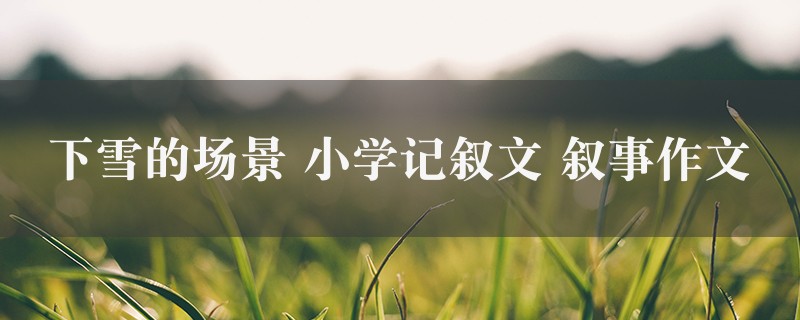 下雪的场景作文 小学记叙文 叙事精选9篇图1