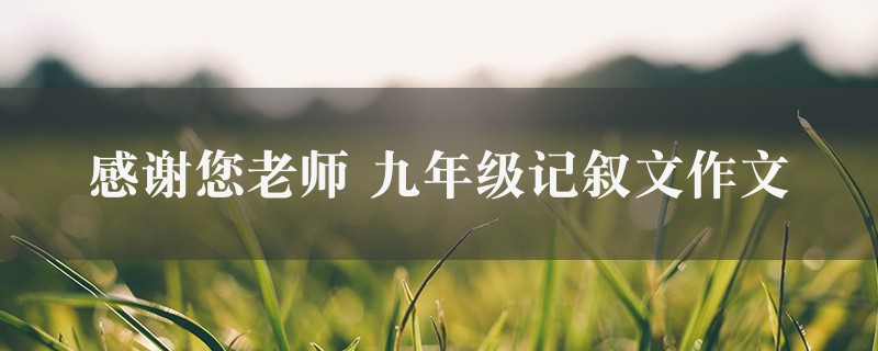 感谢您老师作文 九年级记叙文精选四篇图1