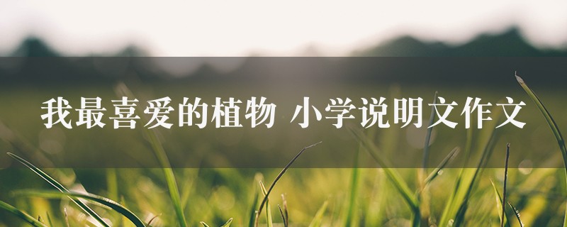 我最喜爱的植物作文 小学说明文9篇图1