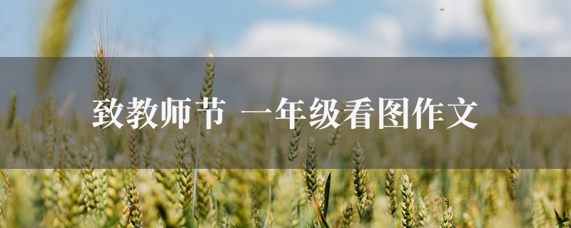 致教师节作文 一年级看图精选5篇图1