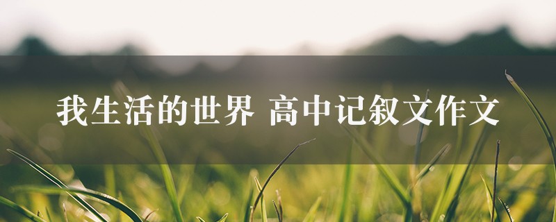 我生活的世界作文 高中记叙文精选5篇图1