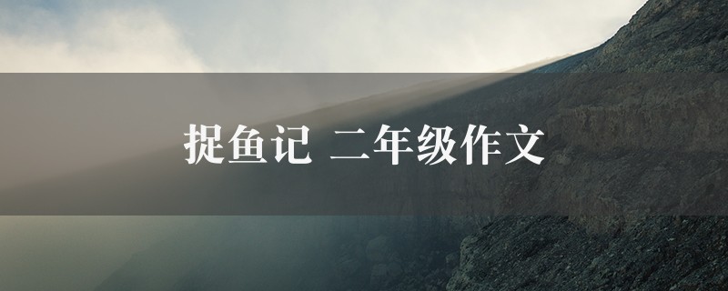 捉鱼记作文 二年级精选二篇图1