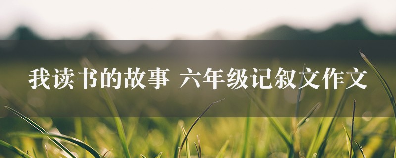 我读书的故事作文 六年级记叙文5篇图1