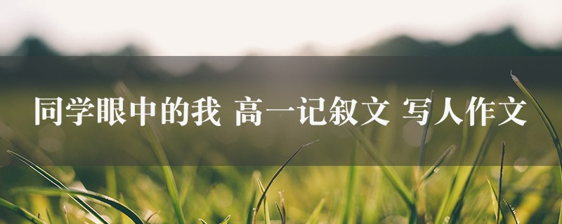 同学眼中的我作文 高一记叙文 写人4篇图1