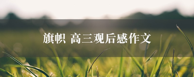 旗帜作文 高三观后感精选八篇图1