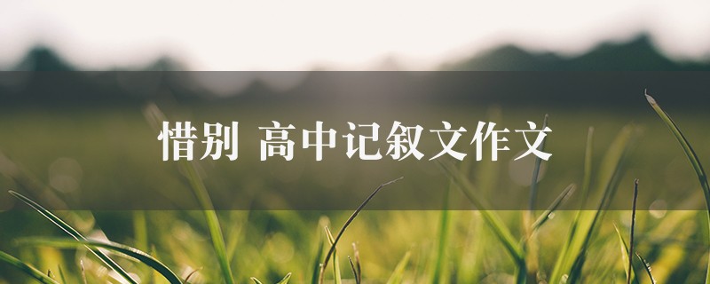 惜别作文 高中记叙文9篇图1