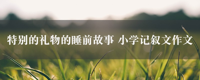 特别的礼物的睡前故事作文 小学记叙文图1