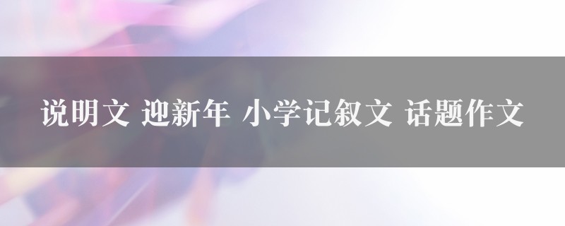 说明文 迎新年作文 小学记叙文 话题五篇图1