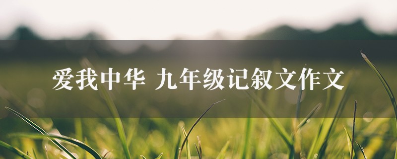 爱我中华作文 九年级记叙文八篇图1