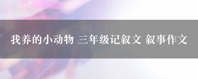 我养的小动物作文 三年级记叙文 叙事精选七篇图1