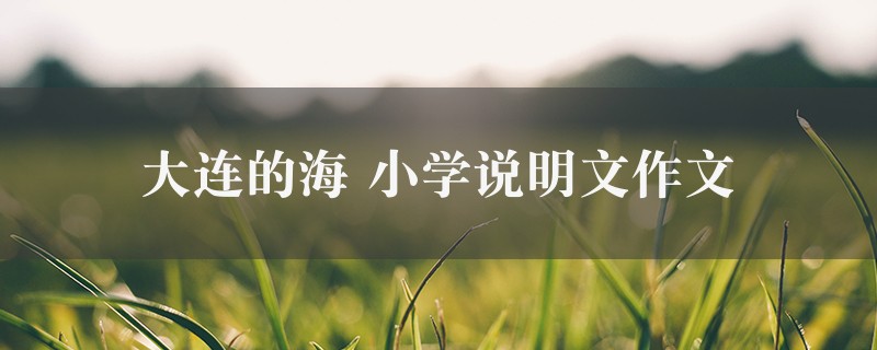 大连的海作文 小学说明文九篇图1