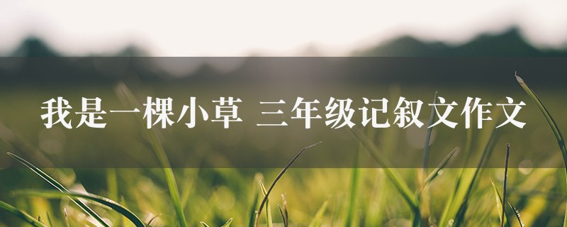 我是一棵小草作文 三年级记叙文4篇图1