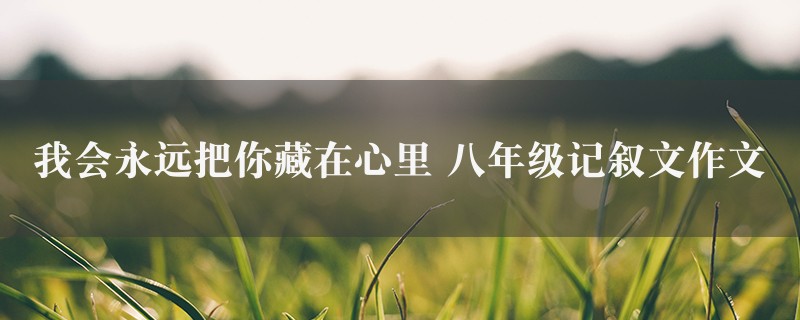 我会永远把你藏在心里作文 八年级记叙文图1