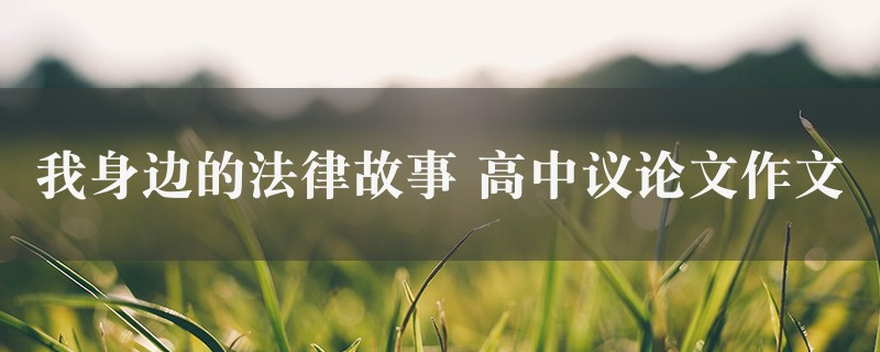 我身边的法律故事作文 高中议论文精选4篇图1