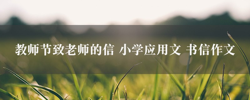 教师节致老师的信作文 小学应用文 书信5篇图1