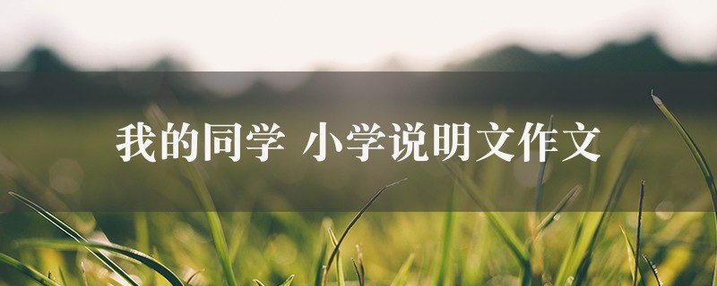 我的同学作文 小学说明文精选9篇图1