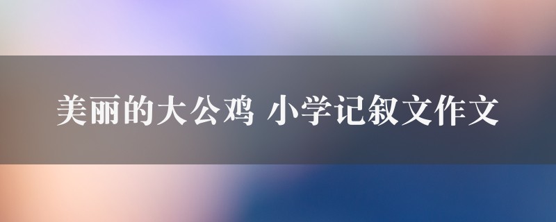 美丽的大公鸡作文 小学记叙文8篇图1