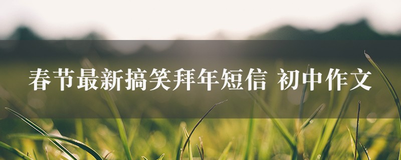 春节最新搞笑拜年短信作文 初中图1