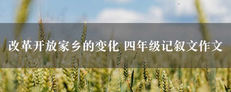 改革开放家乡的变化作文 四年级记叙文图1