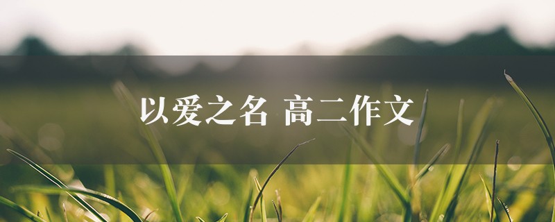 以爱之名作文 高二图1