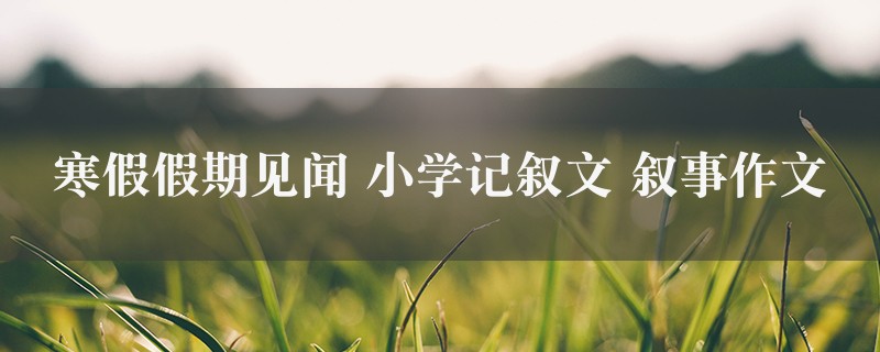 寒假假期见闻作文 小学记叙文 叙事六篇图1