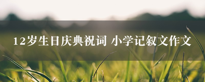 12岁生日庆典祝词作文 小学记叙文图1