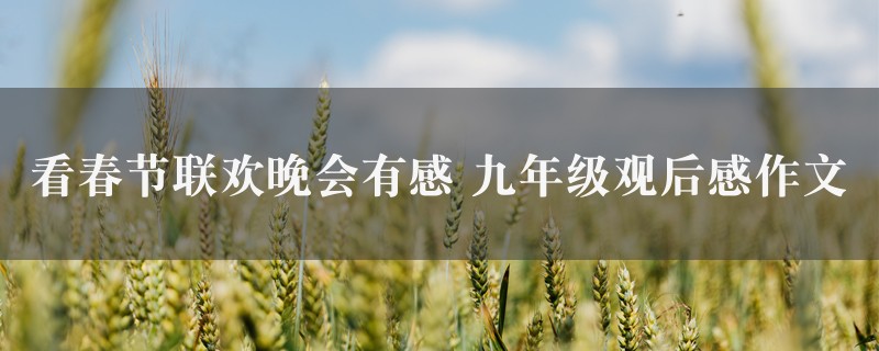 看春节联欢晚会有感作文 九年级观后感精选三篇图1