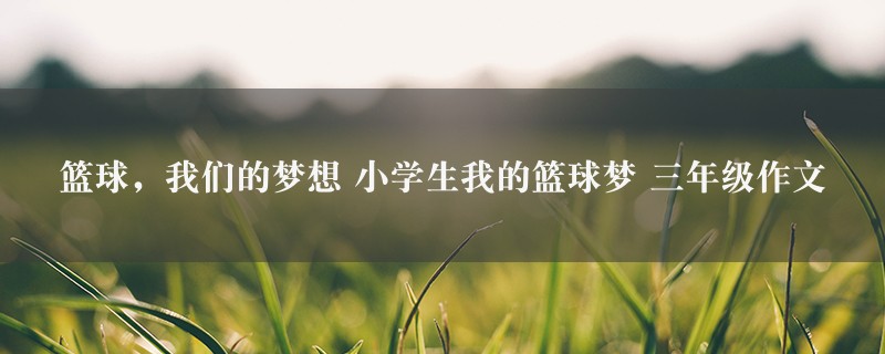 篮球，我们的梦想 小学生我的篮球梦作文 三年级图1