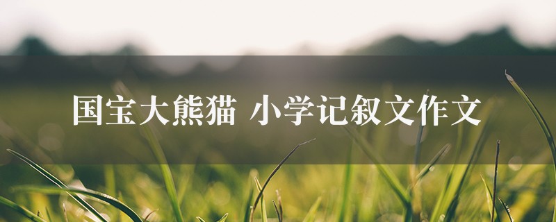 国宝大熊猫作文 小学记叙文10篇图1